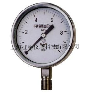 不锈钢膜盒压力表
