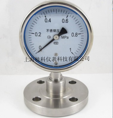 不锈钢耐震隔膜压力表