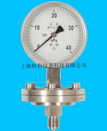 不锈钢膜片压力表