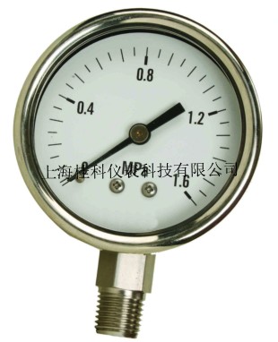 不锈钢压力表