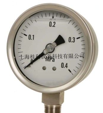 耐震压力表